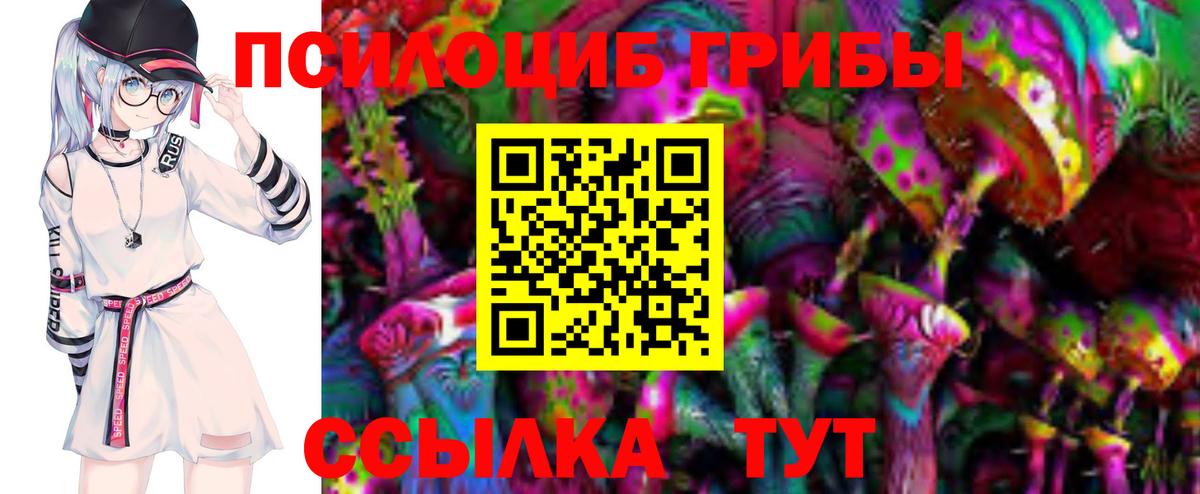 Галлюциногенные грибы GOLDEN TEACHER Острогожск